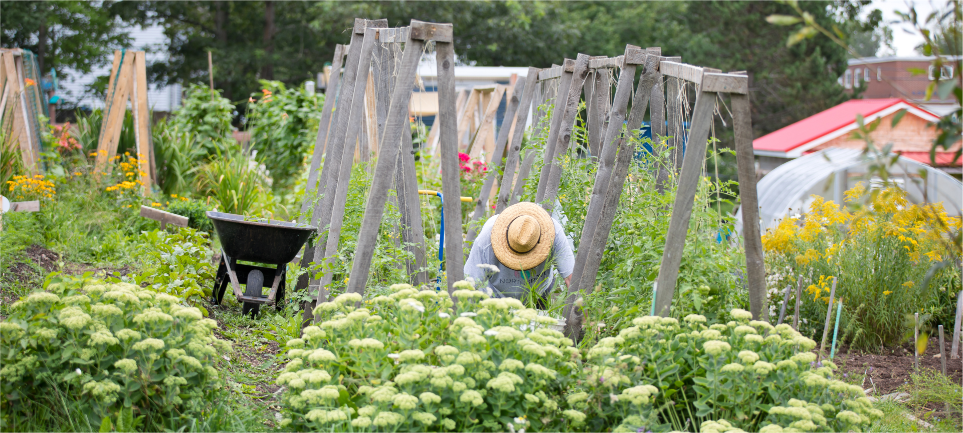 A person gardening outside at a Community Food Centre.